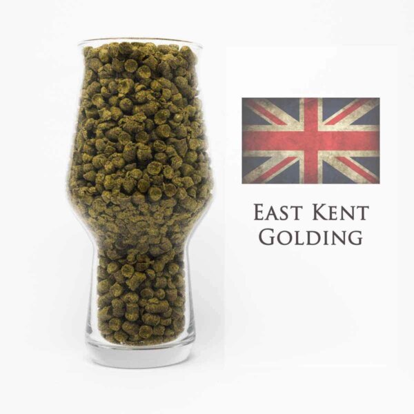 East Kent Goldings Hopfen