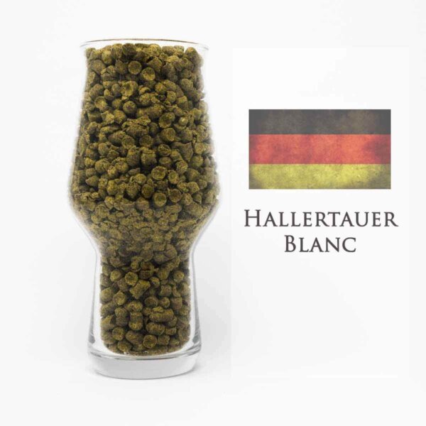Hallertauer Blanc Hopfen