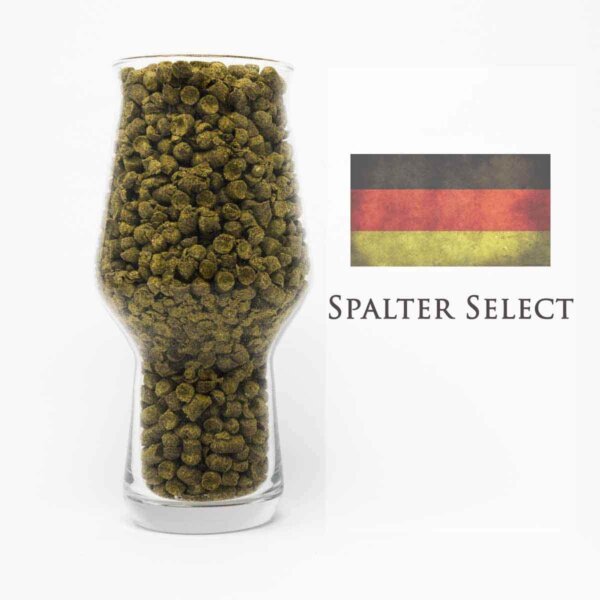 Spalter Select Hopfen