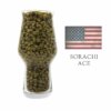 Sorachi Ace Hopfen