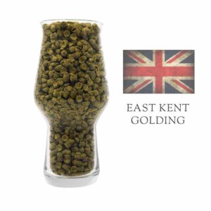 East Kent Goldings Hopfen