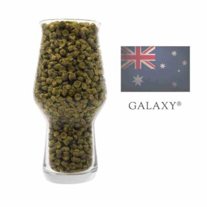 Galaxy Hopfen